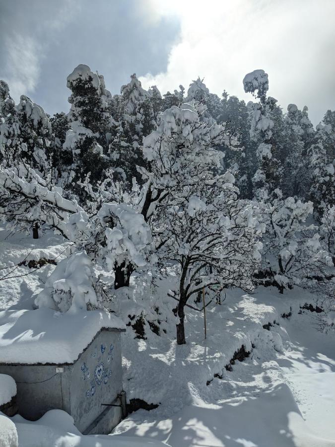 Namastay Himalayas, Kanatal Exterior photo