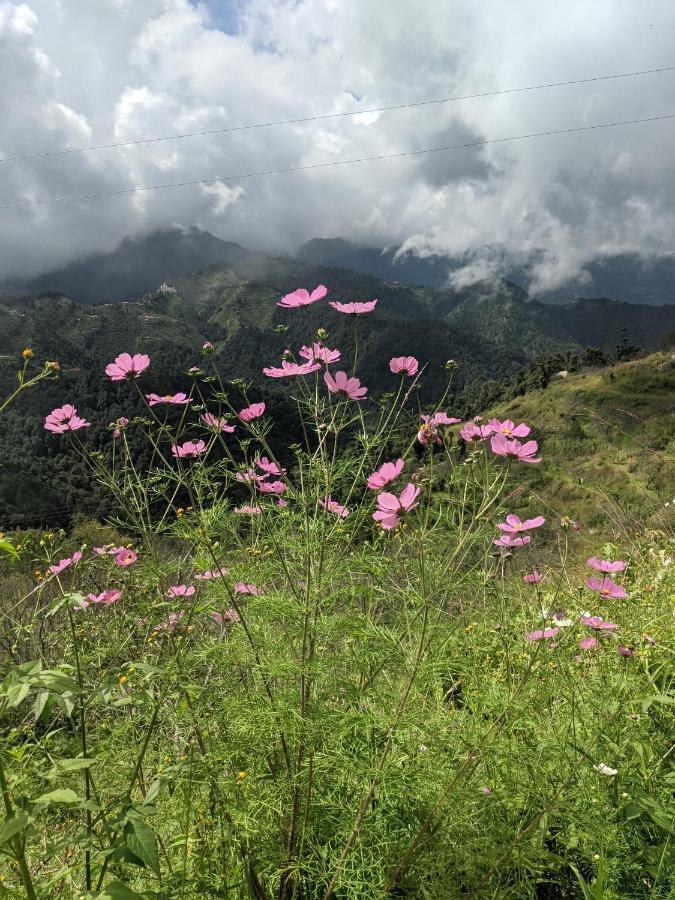 Namastay Himalayas, Kanatal Exterior photo
